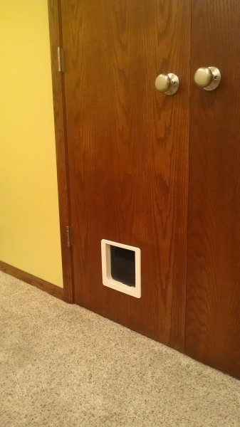 cat door for basement door